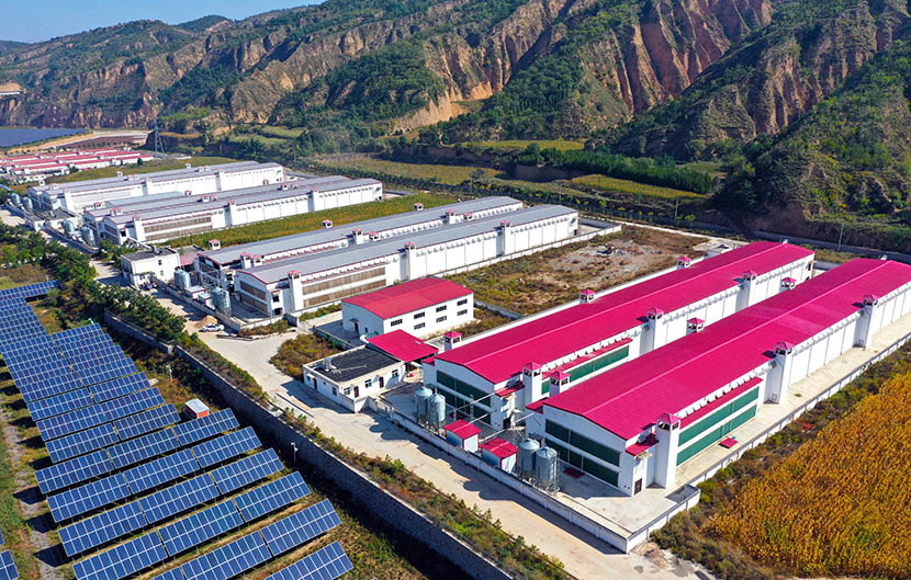 Shanxi Shilou Golden Rooster Project Aerial View 1