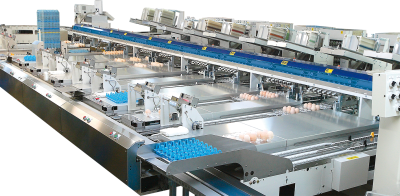 Cómo las clasificadoras automáticas de huevos mejoran la eficacia y la seguridad alimentaria en las granjas avícolas modernas
