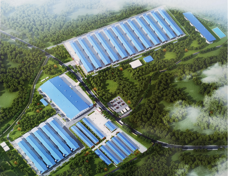 Qingyuan Large-Scale Layer Chicken Farm Intelligent IoT Upgrade Project
