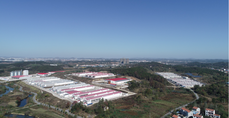 Hubei Hong’an 2.4 Million Laying Hens Farm Project