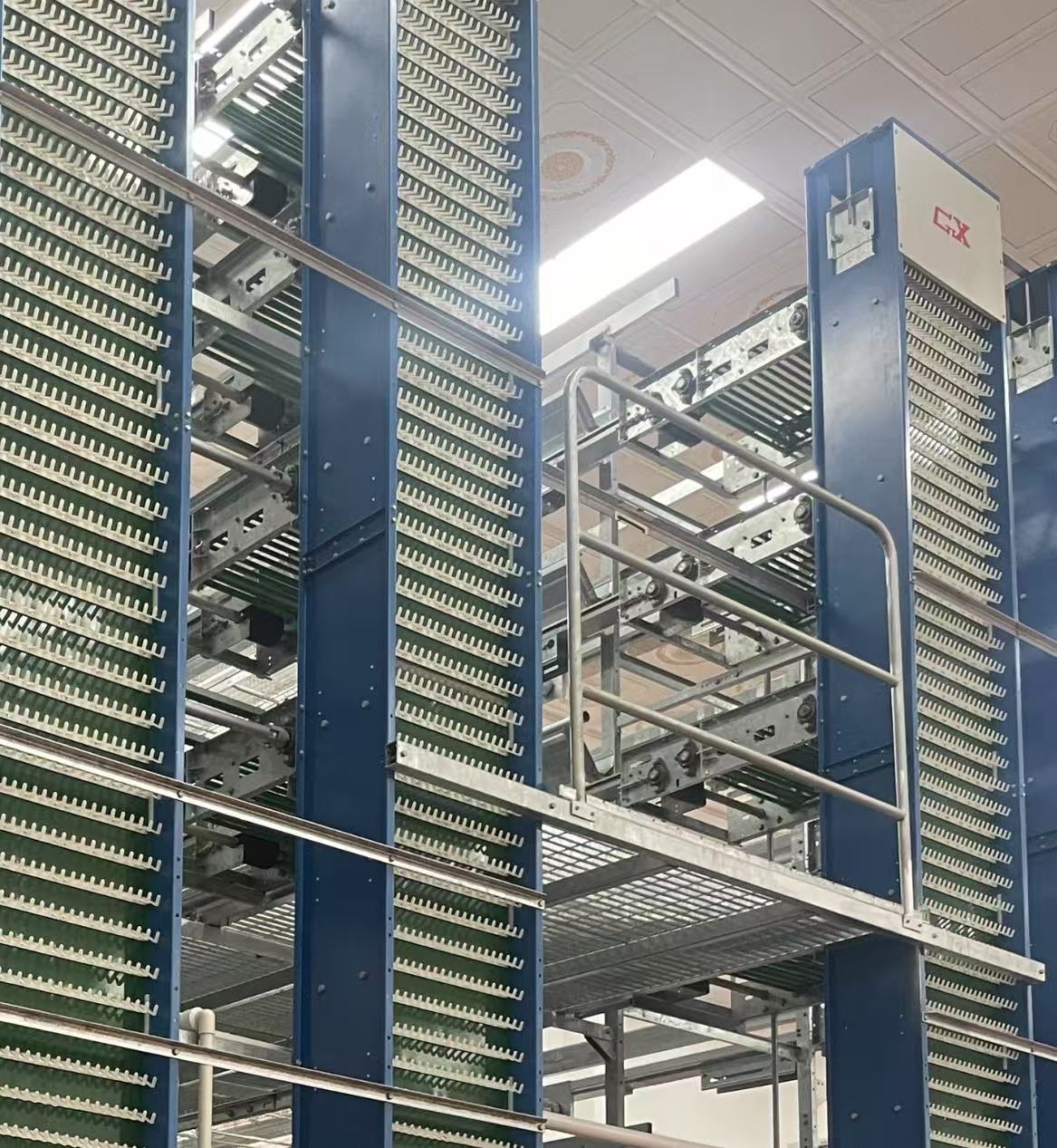 hot galvanized H type automatic chicken cage for commercial layer farming