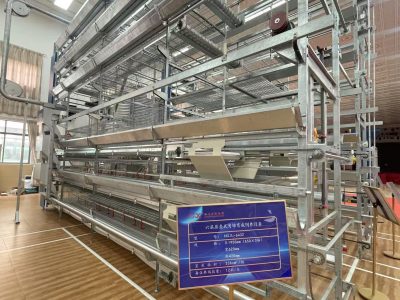 Top 10 Poultry Equipment Manufacturers in Philippines (2026)