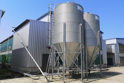 How cage farming can improve the efficiency of poultry breeding