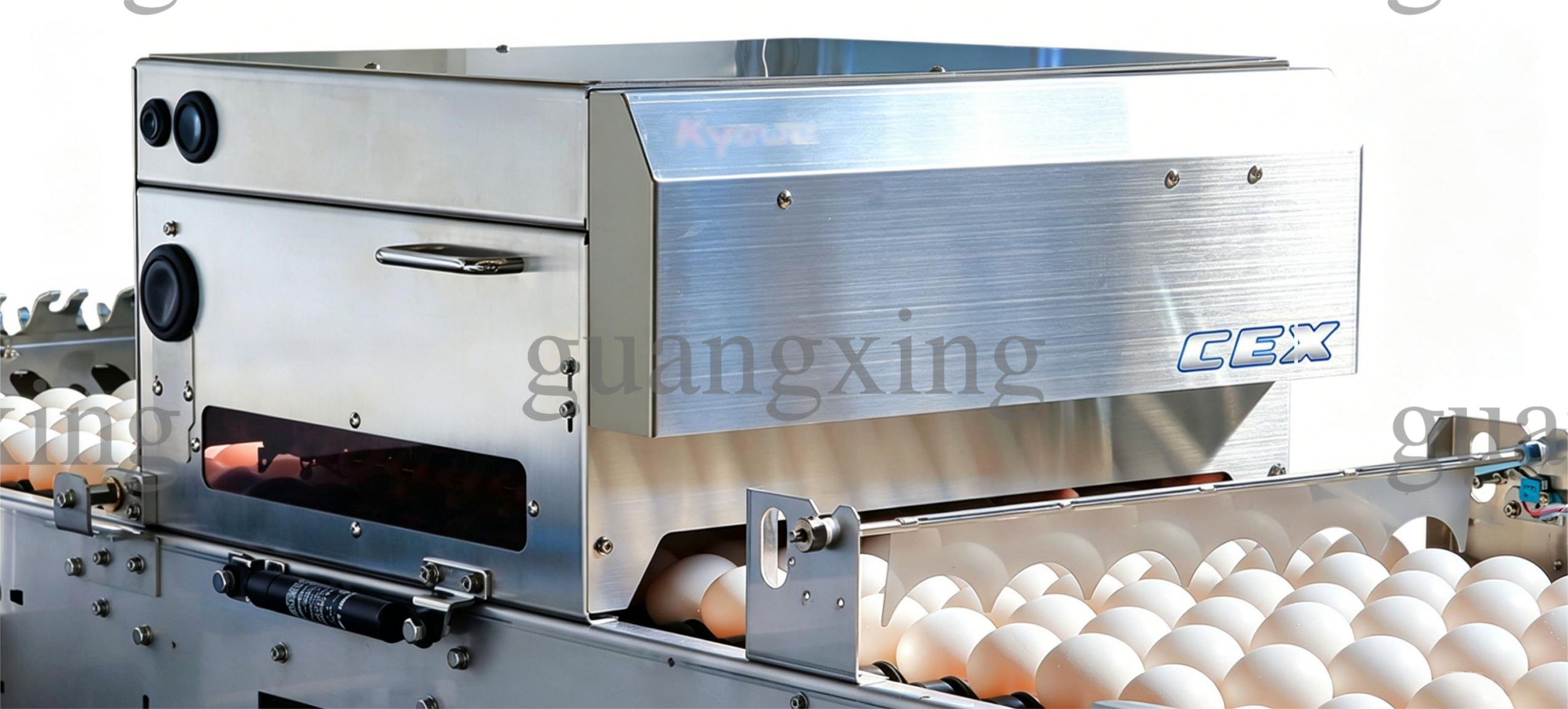 Automatic egg crack detection machine