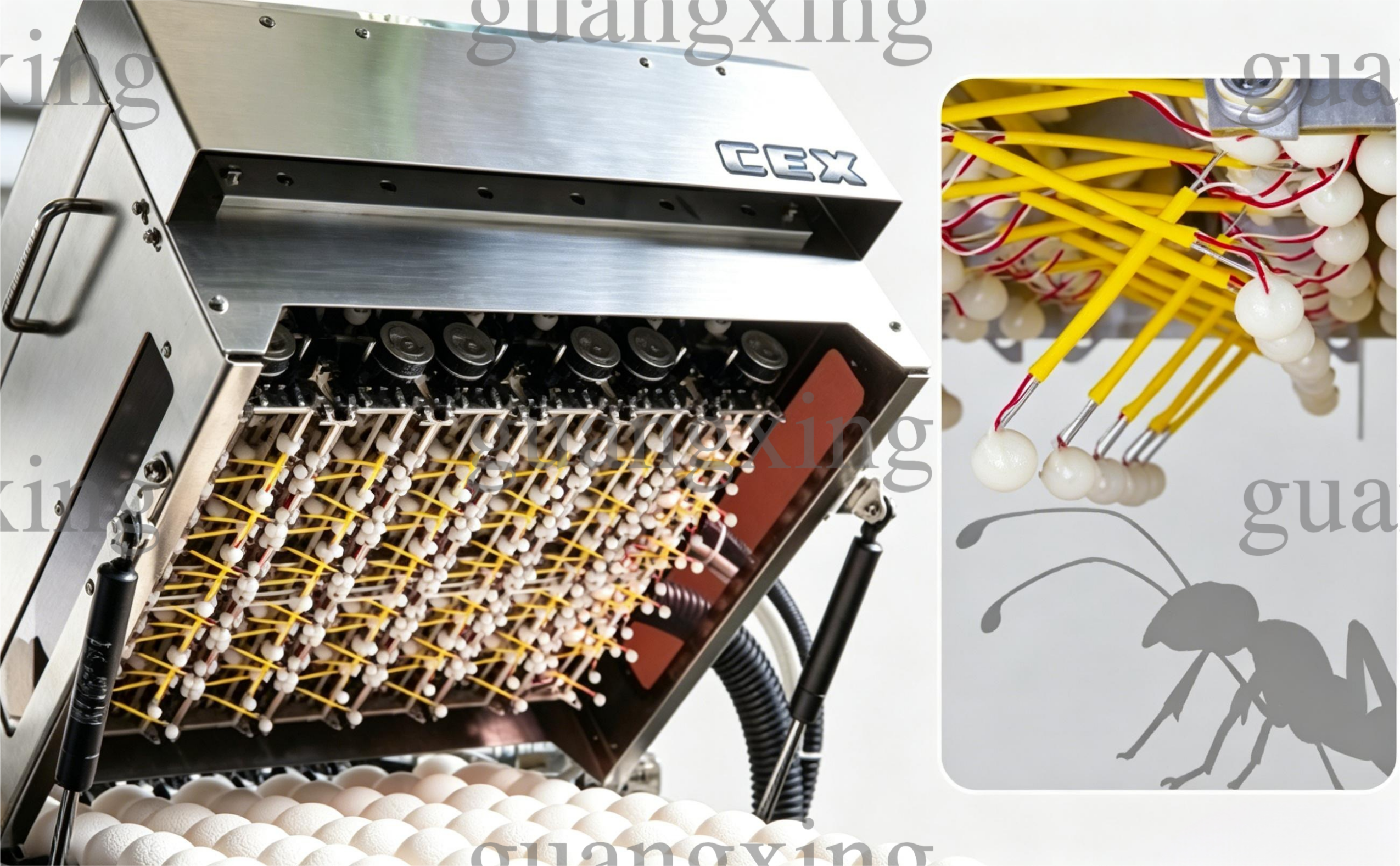 Automatic egg crack detection machine