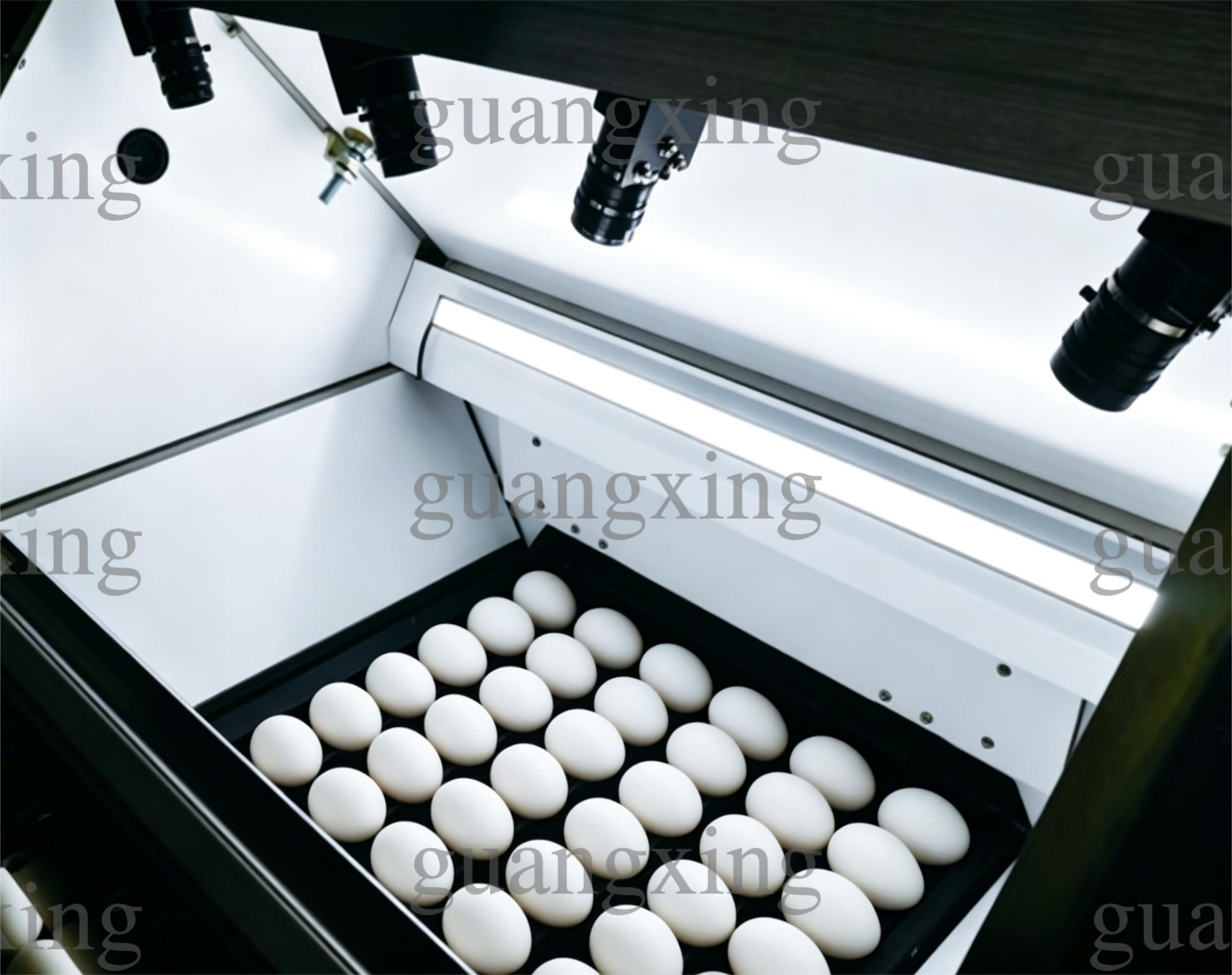 Egg testing machine