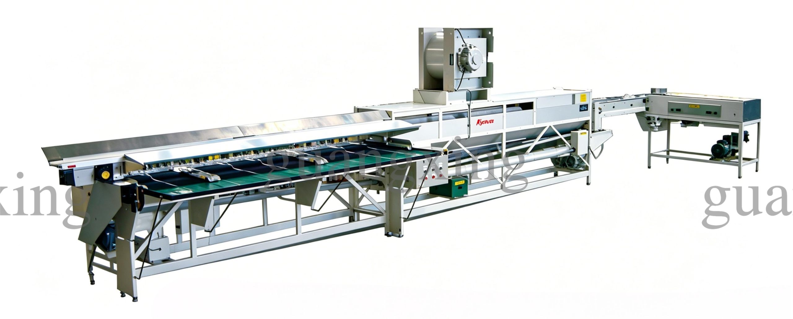 mini egg processing machine