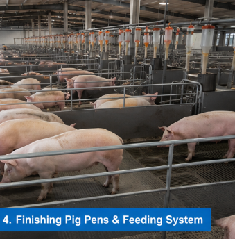Australian Pig Farming Equipment: Import Modern Pig Farm Systems from China