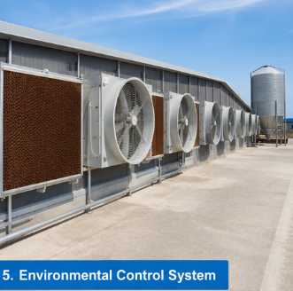 Australian Pig Farming Equipment: Import Modern Pig Farm Systems from China