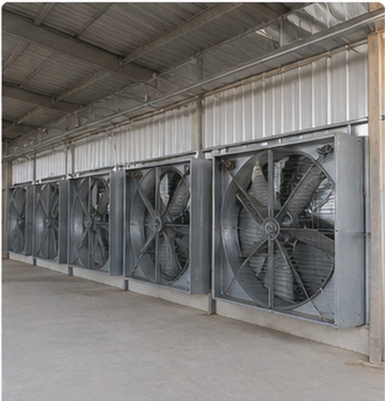 Poultry Equipment Manufacturers for Australia: How to Choose the Right Supplier