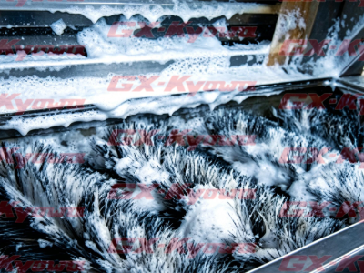Egg washing, grading, and packaging system（3）
