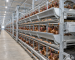 h-type-automatic-layer-cage-system