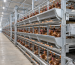 h-type-automatic-layer-cage-system