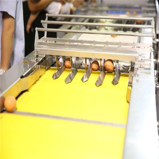 Complete Purchase Guide for Small Egg Sorting Machines