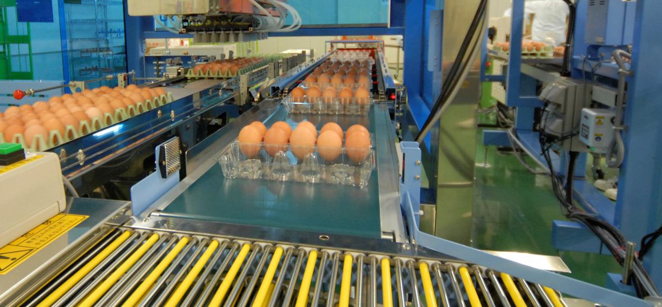 soft anti-collision conveyor belts
